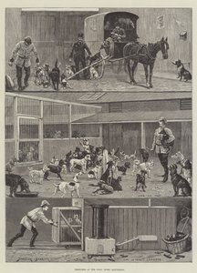 Bocetos en el refugio de perros, Battersea