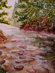 En el bosque - arroyo