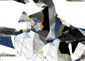 Visión geométrica fragmentada