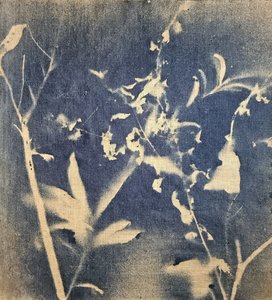  de Stefano Mazzolini