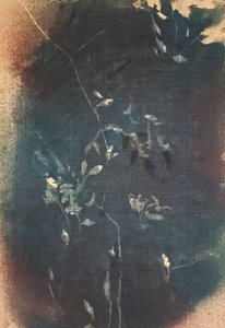  de Stefano Mazzolini