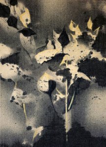  de Stefano Mazzolini