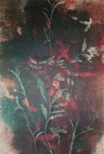  de Stefano Mazzolini