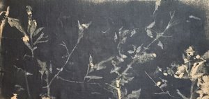  de Stefano Mazzolini