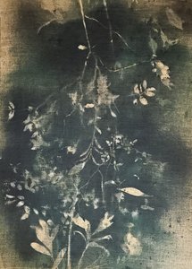  de Stefano Mazzolini