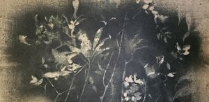  de Stefano Mazzolini