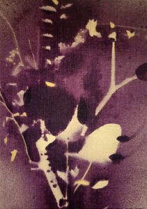  de Stefano Mazzolini