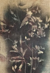  de Stefano Mazzolini