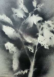  de Stefano Mazzolini