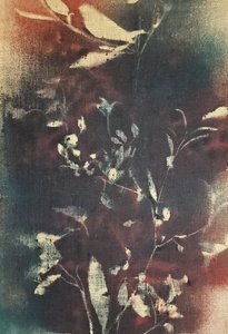  de Stefano Mazzolini