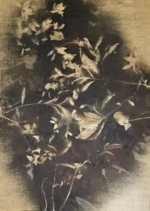Sombras florales melancólicas de Stefano Mazzolini