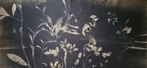 Floración del jardín de sombras