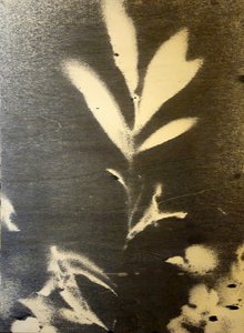  de Stefano Mazzolini