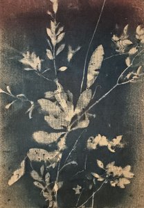  de Stefano Mazzolini