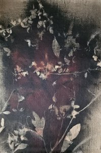  de Stefano Mazzolini