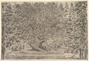 Un gran árbol habitado en el centro con rampas alrededor del tronco, abajo un patio de piedra..., ca. 1653 de Stefano della Bella