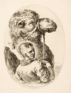 Niño sujetando un camello por la brida, de Plusieurs Têtes Coiffées à la Persienne, pub. c. 1650 (grabado) de Stefano della Bella