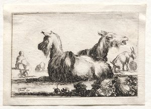 Caprichos: Dos cabras de Stefano della Bella