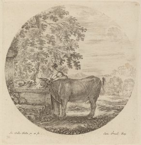 Vaca y joven pastor en una fuente de Stefano della Bella