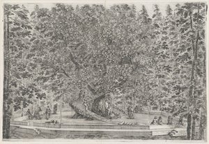 De bewoonde boom en de tuin van Villa Pratolino Villa Pratolino (título de la serie) Vues de la villa de Pratolino (título de la serie) de Stefano della Bella