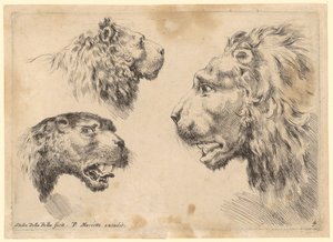 Tres cabezas de león de Stefano della Bella