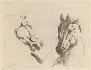 Cabeza de un caballo vista de perfil y en tres cuartos de Stefano della Bella
