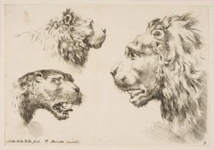 Cabezas de Tres Leones
