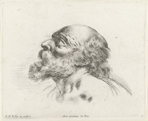 Cabeza de un anciano calvo con barba, de perfil a la izquierda (posiblemente San Pedro)
Los principios del dibujo (título de la serie)
I principii del disegno (título de la serie)