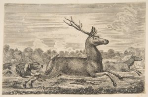 Perros persiguiendo a un Ciervo y una Cierva, ca. 1654 de Stefano della Bella
