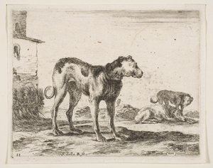 Lámina 11: perros, de Diversos animales de Stefano della Bella