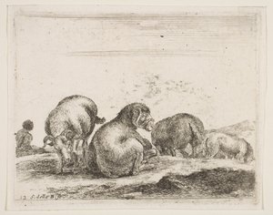 Placa 12: ovejas y carnero en un pasto, de Diversos animales, ca. 1641 de Stefano della Bella