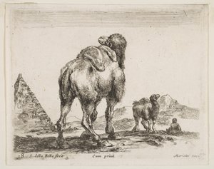 Placa 18: camello visto desde atrás con pirámide a la izquierda, de Diversos animales Diversi animali, ca. 1641 de Stefano della Bella
