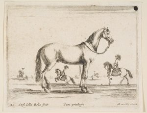 Placa 21: caballo, de Diversos animales, 1641 de Stefano della Bella