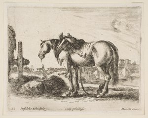 Placa 22: caballo de tiro, de Diversos animales, ca. 1641 de Stefano della Bella