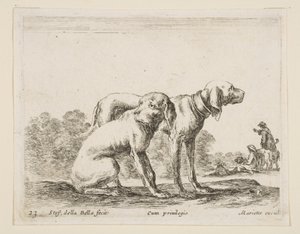 Placa 23: dos sabuesos, de Diversos animales Diversi animali de Stefano della Bella