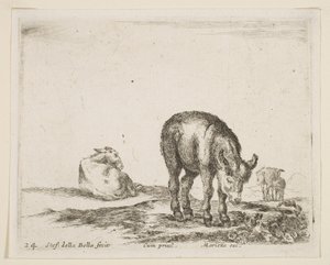 Placa 24: burros, de Various animals Diversi animali, ca. 1641 de Stefano della Bella