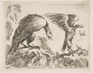 Placa 2: águila y aguilucho, de Diversos animales, ca. 1641 de Stefano della Bella