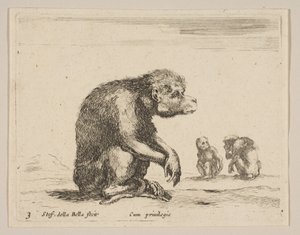 Placa 3: mono sentado, de Diversos animales de Stefano della Bella