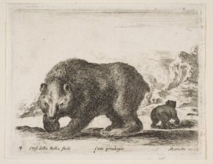 Placa 4: oso, de 
