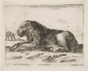 Placa 5: león reclinado, de Diversos animales de Stefano della Bella