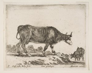 Placa 7: buey, de Varios animales Diversi animali