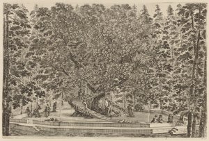 El árbol habitado, probablemente 1653