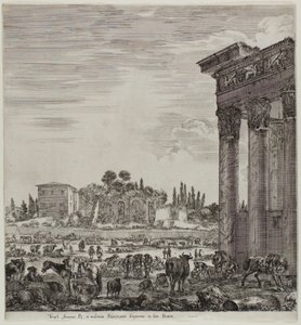 El Templo de Antonino y el Campo Vaccino