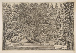 La casa del árbol en Pratolino, ca. 1653 de Stefano della Bella