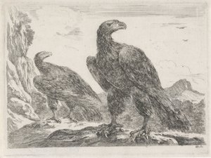 Dos águilas con la cabeza hacia la derecha
Eagles (título de la serie) de Stefano della Bella