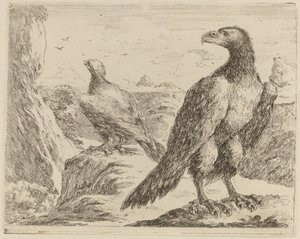 Dos águilas, ambas con la cabeza girada a la izquierda de Stefano della Bella