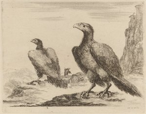 Dos águilas, ambas con la cabeza girada a la izquierda, en un acantilado alto de Stefano della Bella