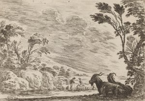 Dos Cabras Acostadas, 1642 de Stefano della Bella