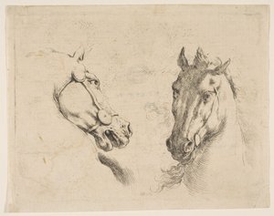 Dos cabezas de caballo, ca. 1649 de Stefano della Bella