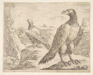Dos águilas, de Águilas Les aigles de Stefano della Bella